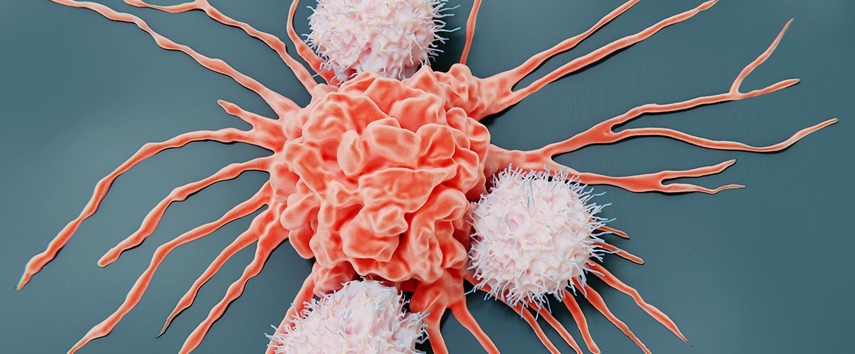 Stock illustration of natural killer cells attacking a cancer cell.