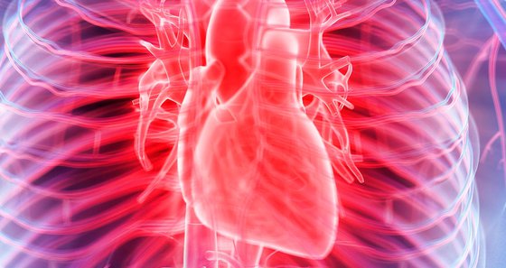 Importance of the Coronary Artery Calcium (CAC) Score in Risk ...