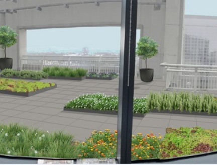 Rooftop Garden Plan