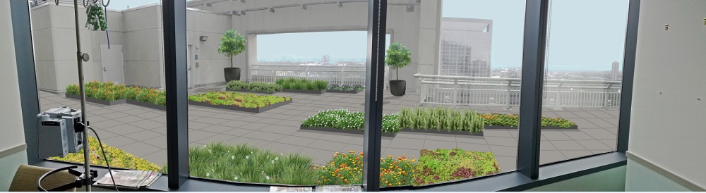 Rooftop Garden Plan