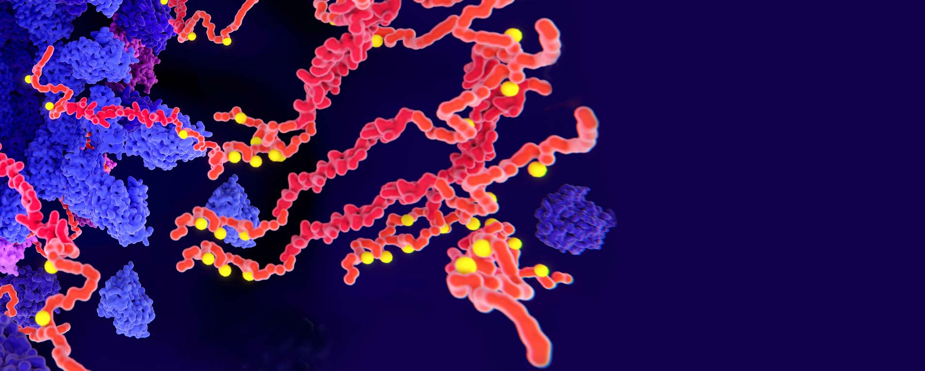 Tau protein neurodegeneration