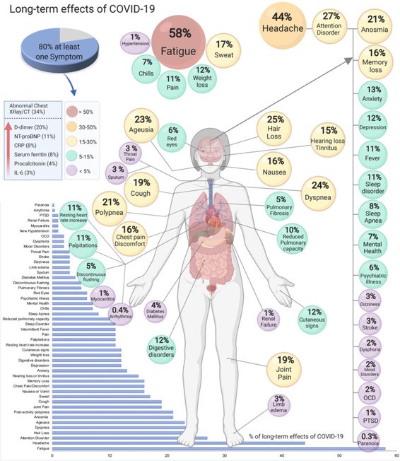 Understanding LongCovid The Clue May Lie in The Gut