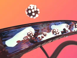 dM_Biomimetric_Nanoparticles_v2thumb.jpg